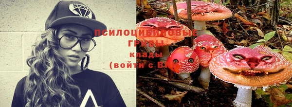 дурь Алзамай