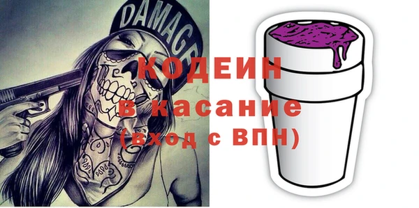 крисы Абаза