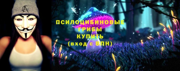 стафф Алексин