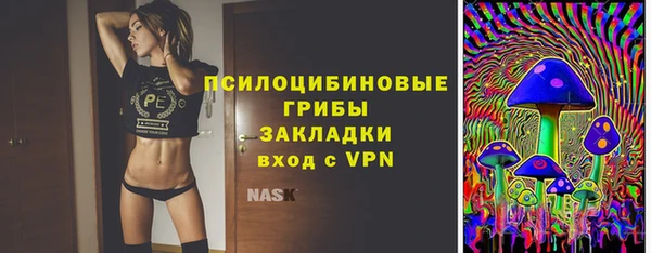 дурь Алзамай